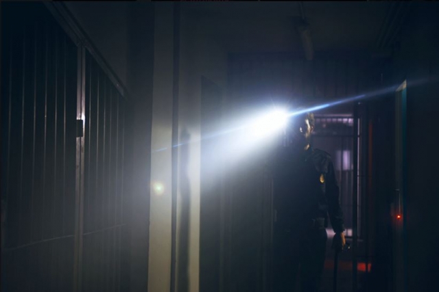  Guard with the flashlight in the game 